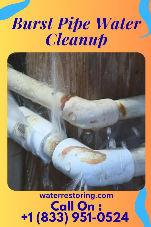 Burst Pipe Water Cleanup in Hawthorne, NJ