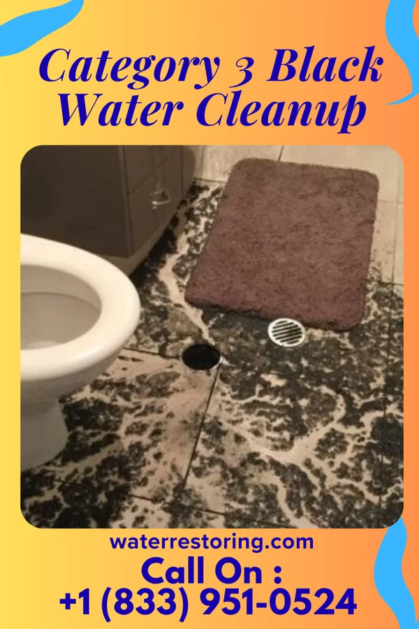 Category 3 Black Water Cleanup in Hawthorne, NJ