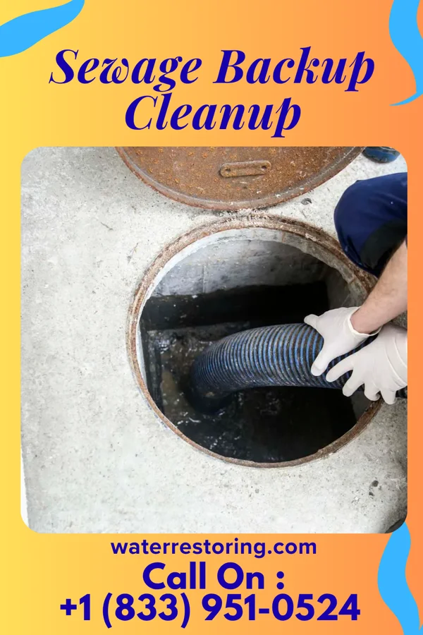 Sewage Backup Cleanup in Hawthorne, NJ