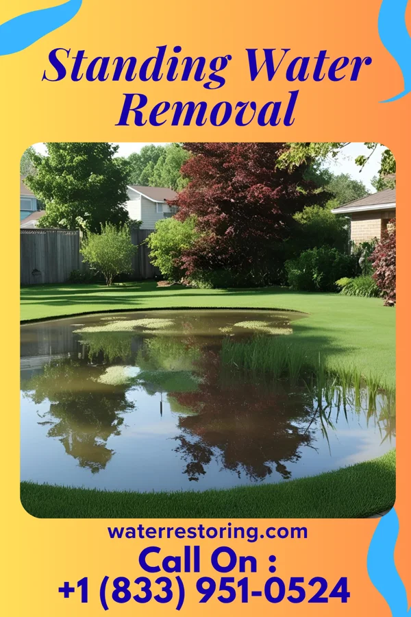 Standing Water Removal in Hawthorne, NJ